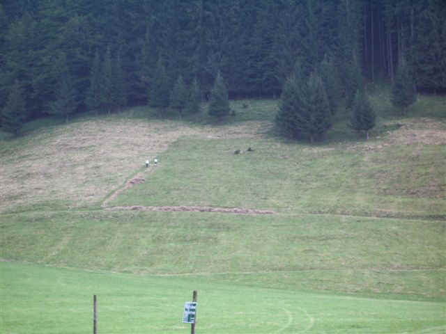 050903029 MUC Tegernsee.JPG (52528 bytes)