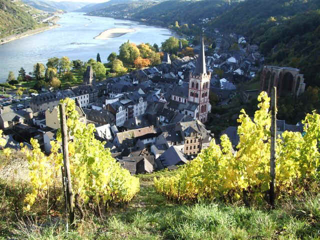 051023 (59) FRA Bacharach.JPG (111320 bytes)