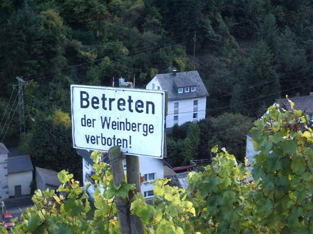 051023 (62) FRA Bacharach.JPG (74866 bytes)