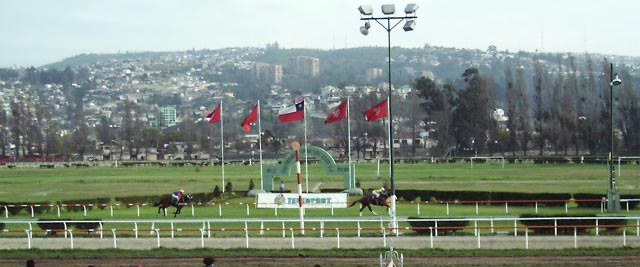 01706019 SCL Vina Del Mar Horse Track.JPG (42519 bytes)