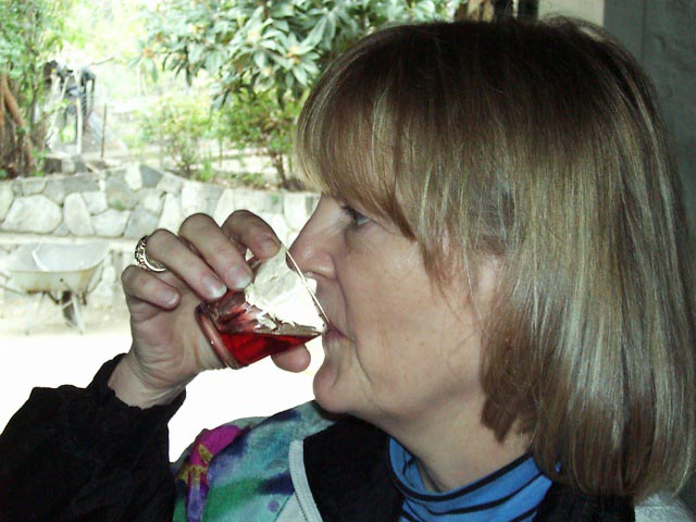 01707031 SCL Sue tasting Strawberry Liquor.JPG (60842 bytes)