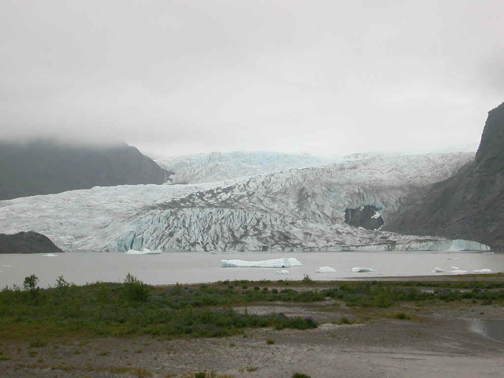 03617013 JNU Mendenhall Glacier.jpg (163477 bytes)