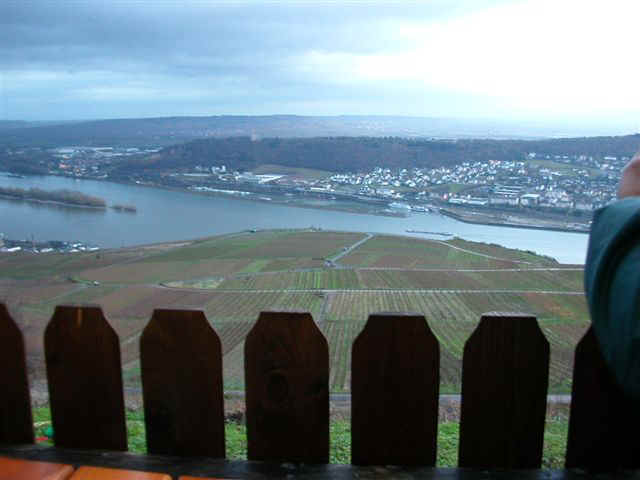 04b23032 FRA Rudesheim.JPG (42667 bytes)