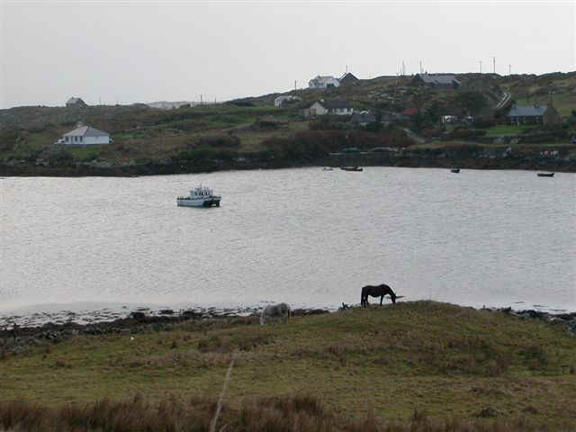 060115 (7) SNN Clifden Sky Road.JPG (50723 bytes)