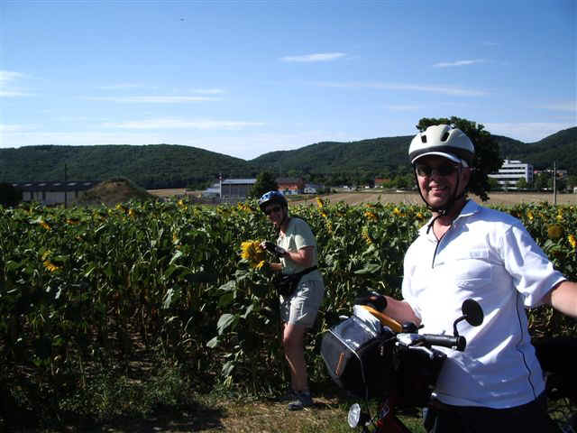 070708 (2) VIE Sunflowers BJ Tony.JPG (71429 bytes)