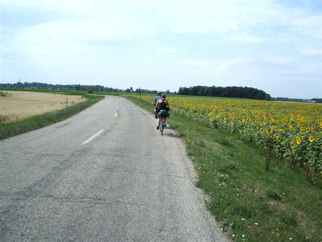 070709 (16) BUD Tony Nancy Sunflowers.JPG (61901 bytes)